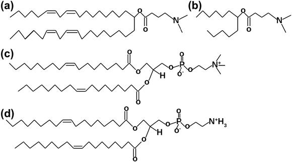 Molecular Dynamics Simulations: A Study on the Changes of DLin-MC3-DMA ...